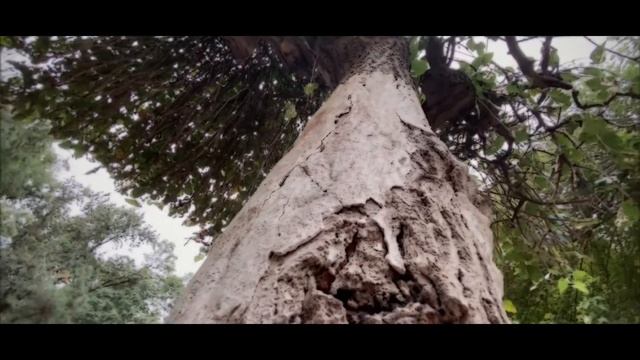 One day in the park | Filmed on Iphone 11 смотреть онлайн