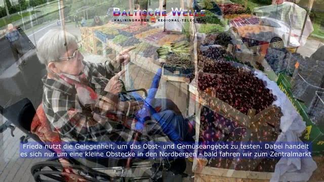 Frieda In Kaliningrad. Deutsche Treffen Deutsche.