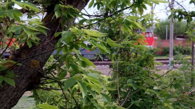 Сплотка из электровозов ЭП1М и ЧС4Т смотреть онлайн