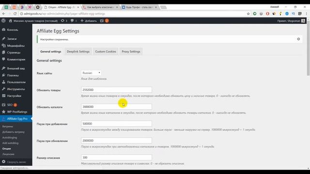 Партнерский интернет-магазин на WordPress, плагин Affiliate Egg - урок 1 смотреть онлайн