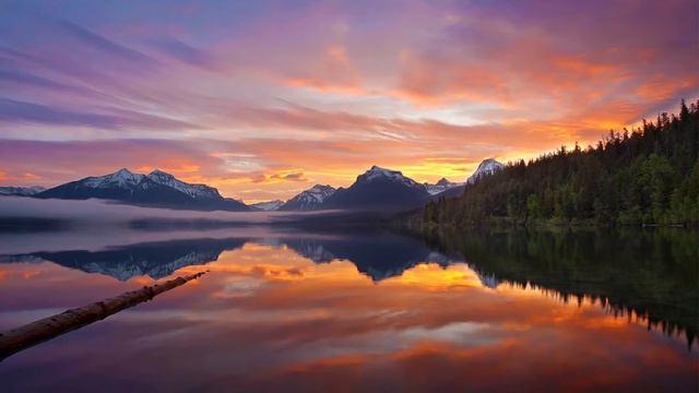 Le Petit Negre (Cakewalk) Debussy смотреть онлайн