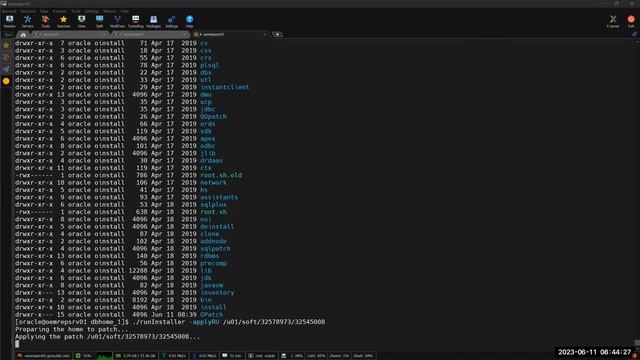 Oracle Enterprise Manager 13.5 Installation on Vmware Esxi8 VMs Using vCenter8. смотреть онлайн