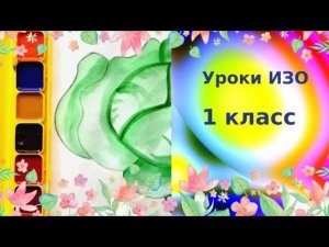Как нарисовать капусту красками. Рисунок капусты акварелью. Урок ИЗО