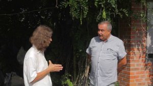 Глициния I Wisteria macrostachya 'Blue Moon'