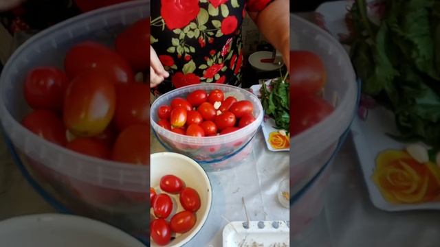 КВАШЕНЫЕ ПОМИДОРЧИКИ ОТ ТЁТИ КАТИ, ВКУСНЫЕ ПРЯМ БОМБИЧЕСКИЕ
