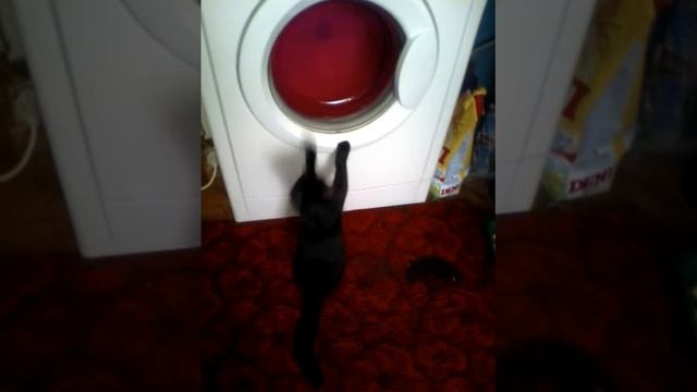Бася стирается смотреть онлайн