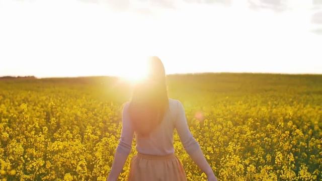 Жатва человеческих Душ смотреть онлайн