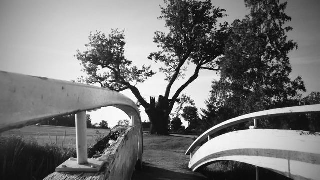 Прогулка вокруг Отепя смотреть онлайн