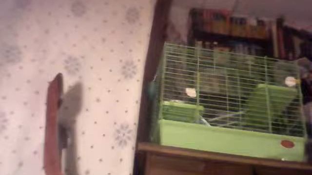 Как сделать колонку.(часть 1) смотреть онлайн