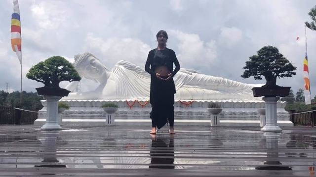 Цигун Чжун Гун Бао - занятие 1 - Дыхание Почек. Эмоциональный интеллект. 6 целительных звуков.