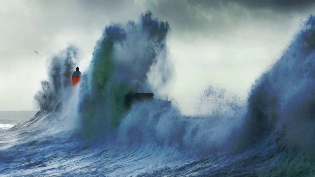 Алексей Мандельштам - Штиль и шторм (последнее письмо офицера флота)