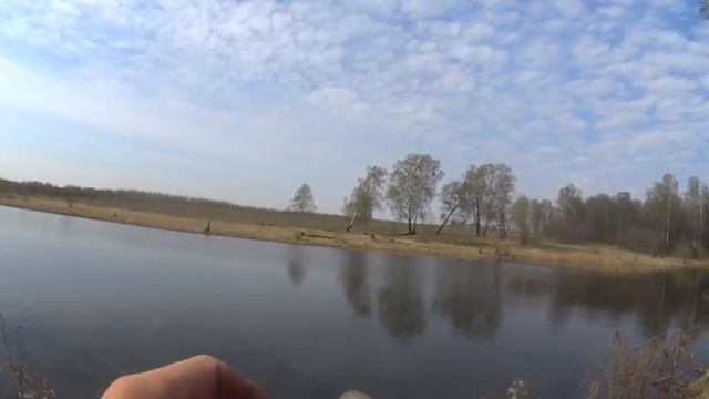 Ловим в Кедровке. Рыба просыпается. смотреть онлайн