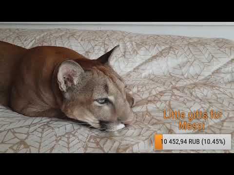 Прямой эфир. 31 мая