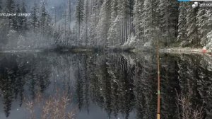 Как и где ловить#змееголов#MyFishingWorld