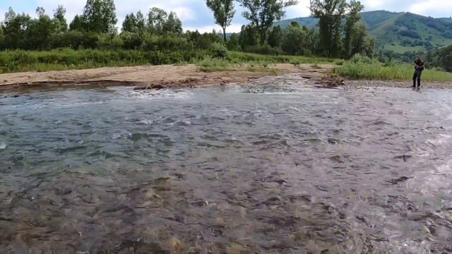 Сплав по реке Иня, часть вторая. смотреть онлайн