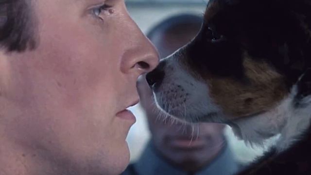 After Dark - Mr. Kitty (American Psycho) (Equilibrium) (Batman: Begins) (Shaft) смотреть онлайн