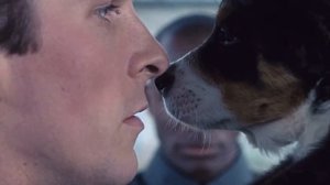 After Dark - Mr. Kitty (American Psycho) (Equilibrium) (Batman: Begins) (Shaft)