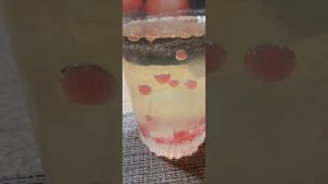 красная икра из рыбного бульона.