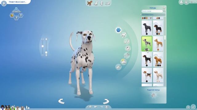 SIMS 4 | ВЕТЕРИНАР-ПРИШЕЛЕЦ | СОЗДАНИЕ КОШЕК И СОБАК В СИМС 4 смотреть онлайн