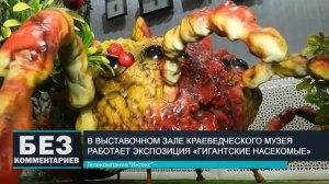 Без комментариев. 31.01.20. "Гигантские насекомые".