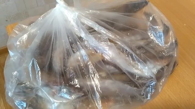 Дешевый белок путассу смотреть онлайн