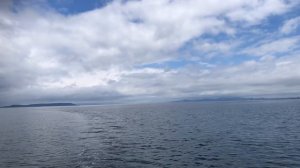 Троллинг симы в Амурском заливе