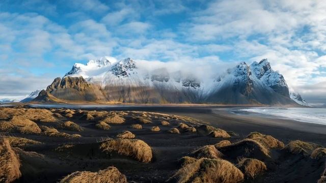 Spencer Brewer. Wonderland