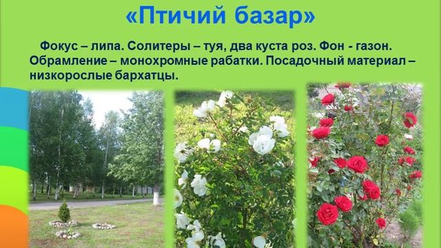 Гнездовье змееяда смотреть онлайн