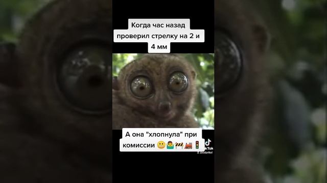 Вот это поворот?сцб ржд смотреть онлайн
