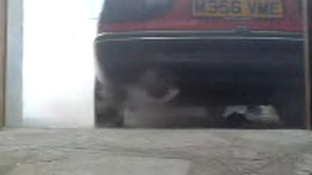 Escort 1.4 CVH with a Stainless Exhaust смотреть онлайн
