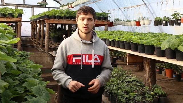 Большое заблуждение в самом начале бизнеса смотреть онлайн