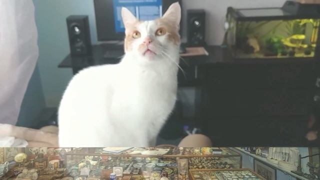 Прикол! Анекдот про мужика и бронзовую кошку. В роли статуэтки - натуральный кот))) смотреть онлайн