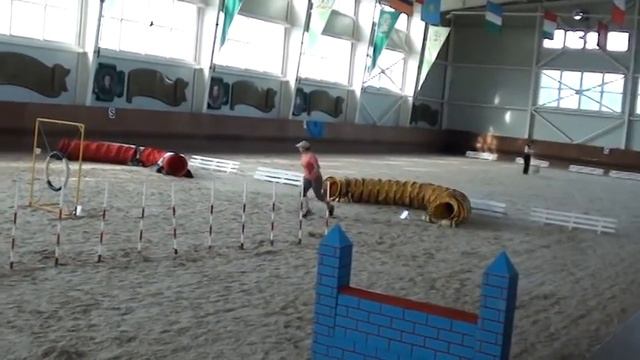 НКП Русь, 24 июля 2015, джампинг смотреть онлайн