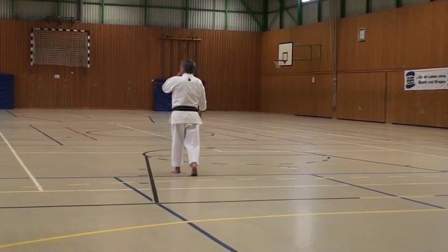 Fudokan Karate Kata Tensho by Prof. Dr. Ilija Jorga смотреть онлайн