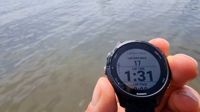 Swimming with the Garmin 255 смотреть онлайн