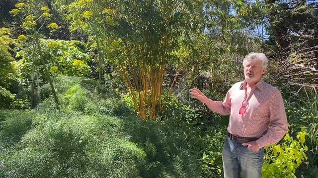 How to create a colour themed garden border