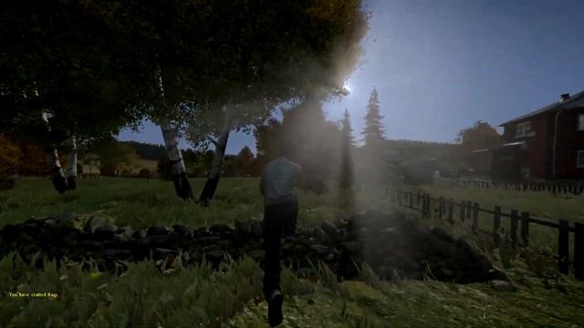 Dayz Standalone: Beginners Guide смотреть онлайн