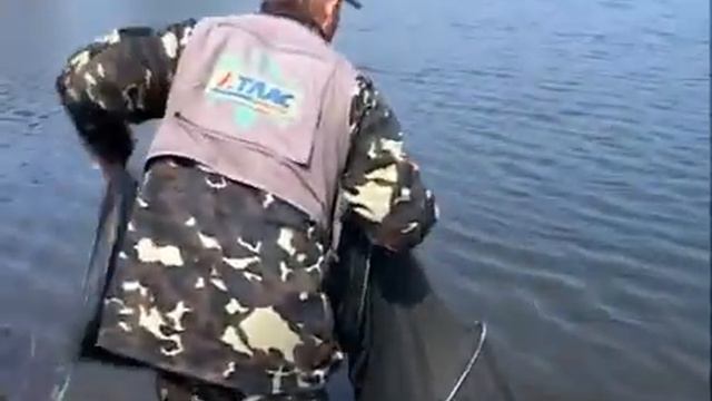 Ловля Карпа Штекерная Снасть №21 О Рыбалке Всерьез слова эксперта рус яз смотреть онлайн