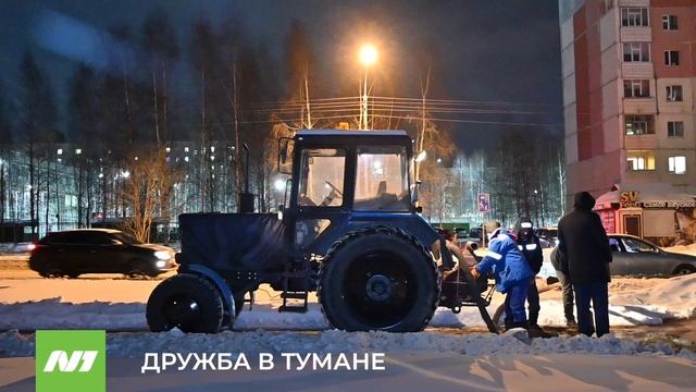 ДРУЖБА В ТУМАНЕ смотреть онлайн