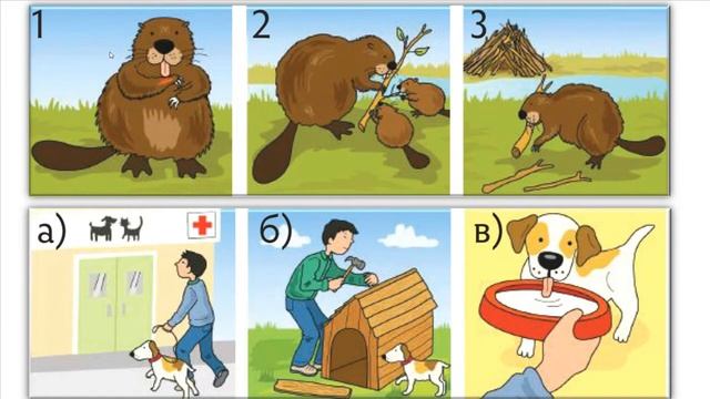 #BirgeOqý Урок Какие бывают животные? Естествознание смотреть онлайн