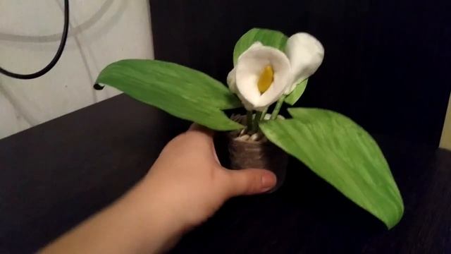 Поделка комнатное растение Каллы своими руками в детский сад просто и быстро смотреть онлайн