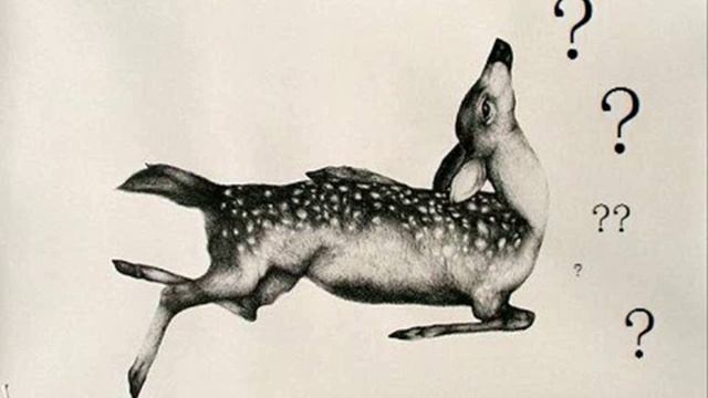 Horseshoe - Collage (Fredu Edit)