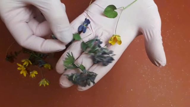 Сушка цветов /Сухоцветы /Поделки из эпоксидной смолы/ Заготовка сухоцветов в домашних условиях смотреть онлайн