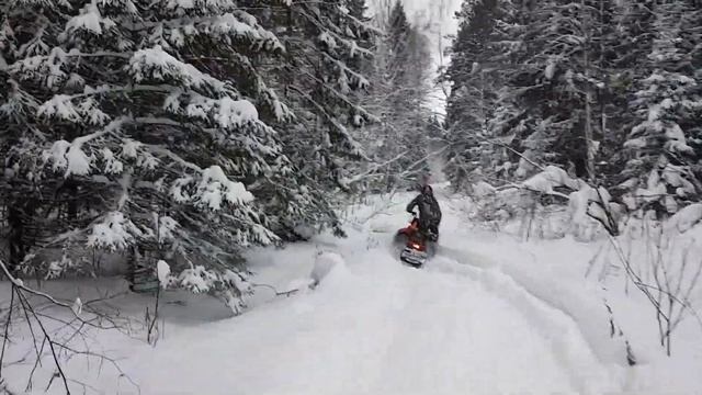 Снегоход IRBIS TUNGUS 500L проходимость смотреть онлайн