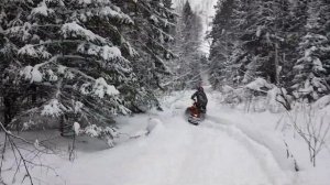 Снегоход IRBIS TUNGUS 500L проходимость