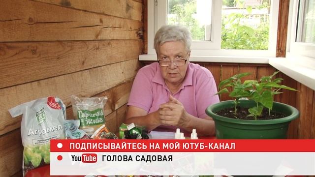 Голова садовая - Мои острые перцы. Ответы на ваши комментарии смотреть онлайн