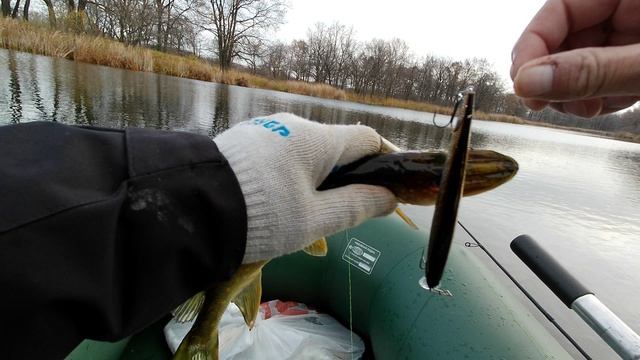 рыбалка 9 ноября на щуку