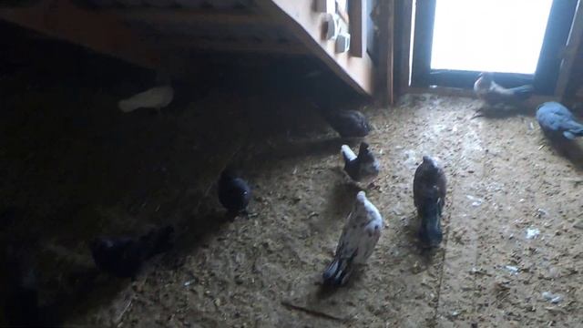 потеплело и птичка запела.