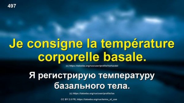 1000 озвученных фраз на французском и русском языках [FR-RU-3]