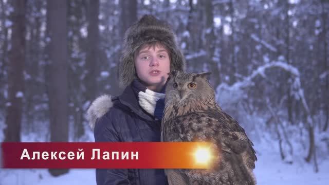 В МИРЕ ЖИВОТНЫХ смотреть онлайн